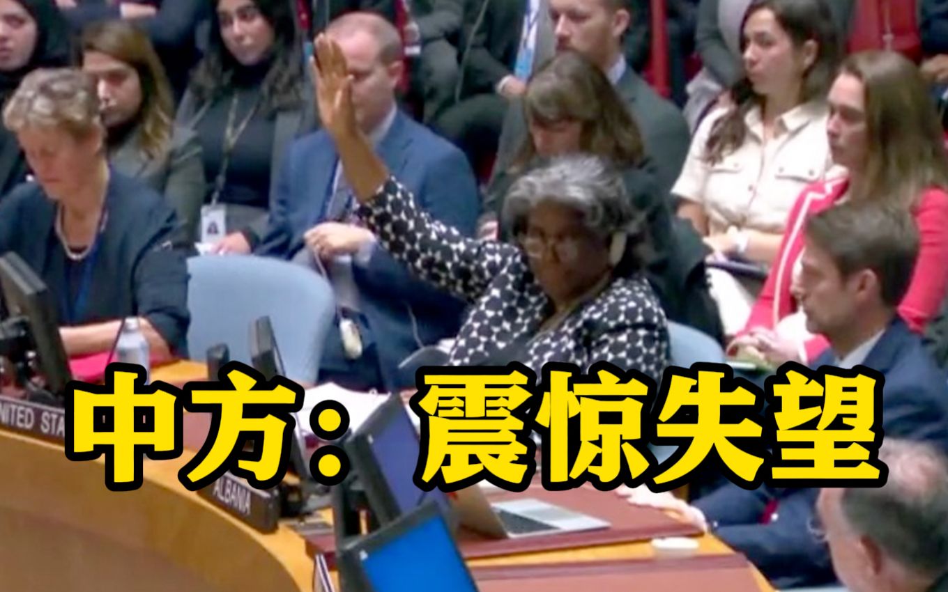 美国一票否决 安理会再次未通过巴以问题决议草案