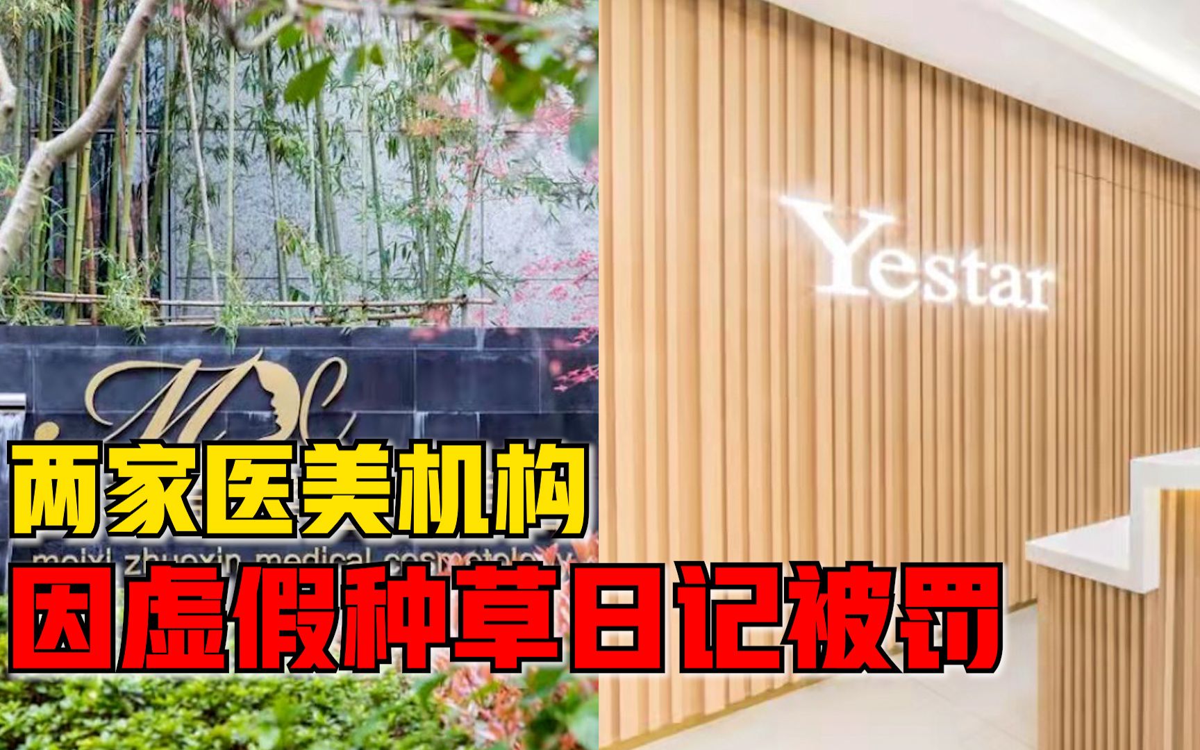 两家医美机构因虚假种草日记被罚， 此前已多次被行政处罚