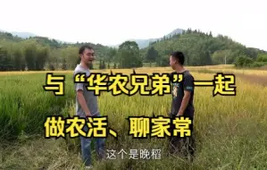 丰收节来了，与“华农兄弟”一起，做农活、聊家常