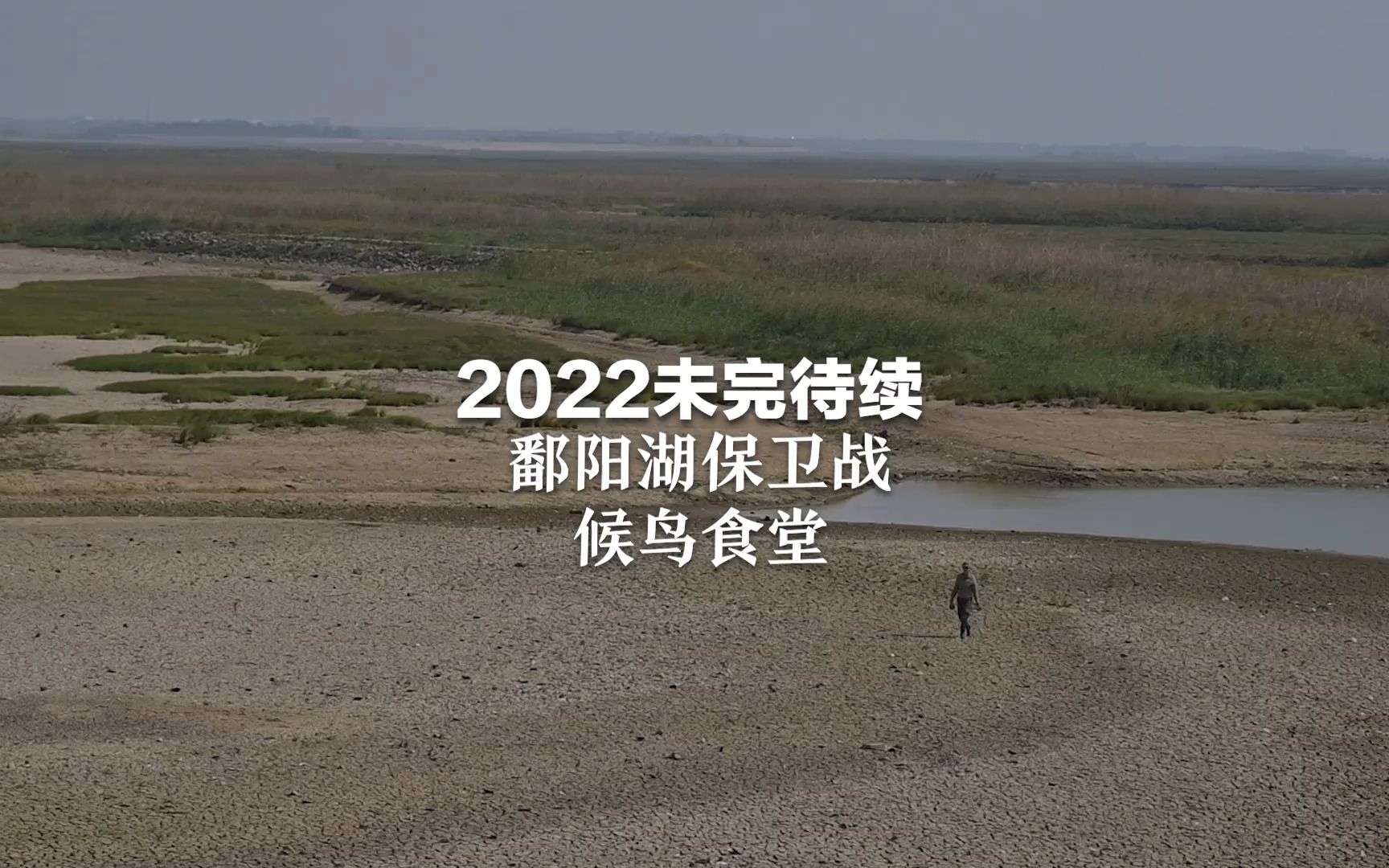 2022未完待续，鄱阳湖保卫战——候鸟食堂