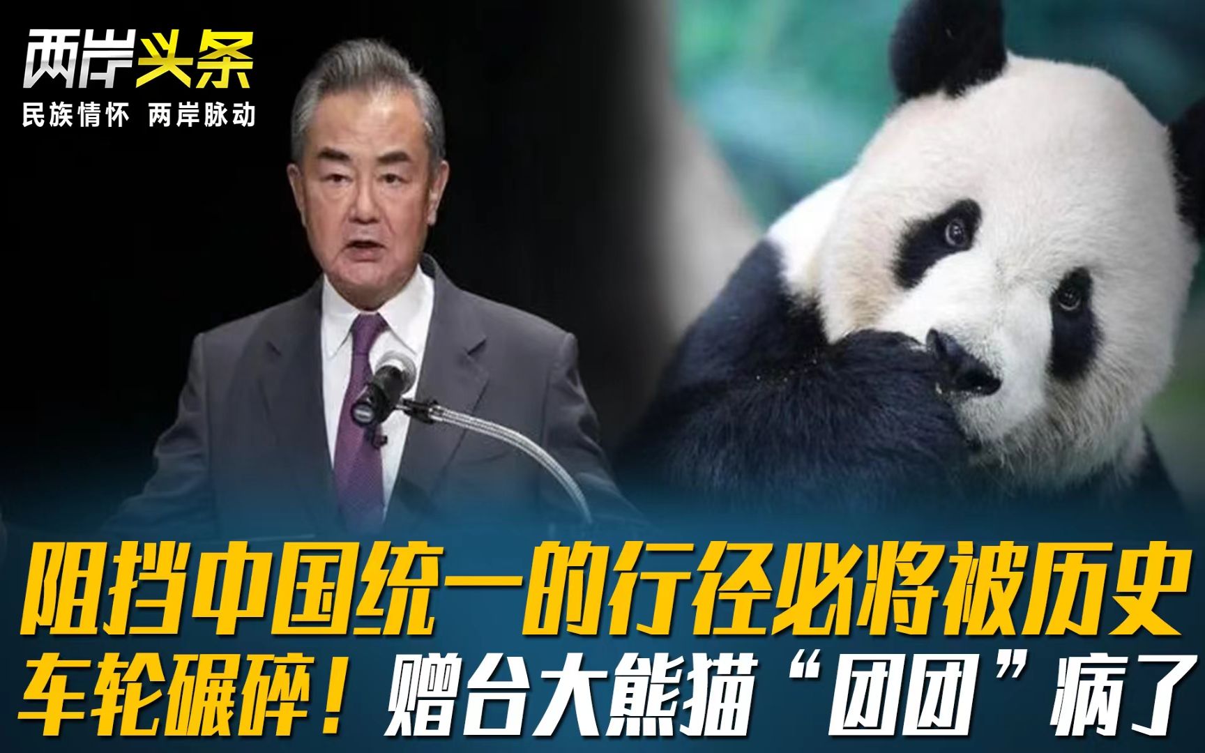 阻挡中国统一的行径必将被历史车轮碾碎！赠台大熊猫“团团”病了