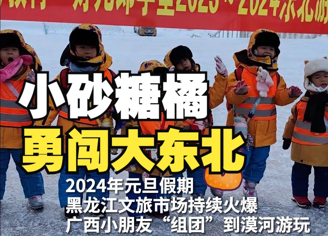 广西小砂糖橘勇闯黑龙江，全东北一起宠