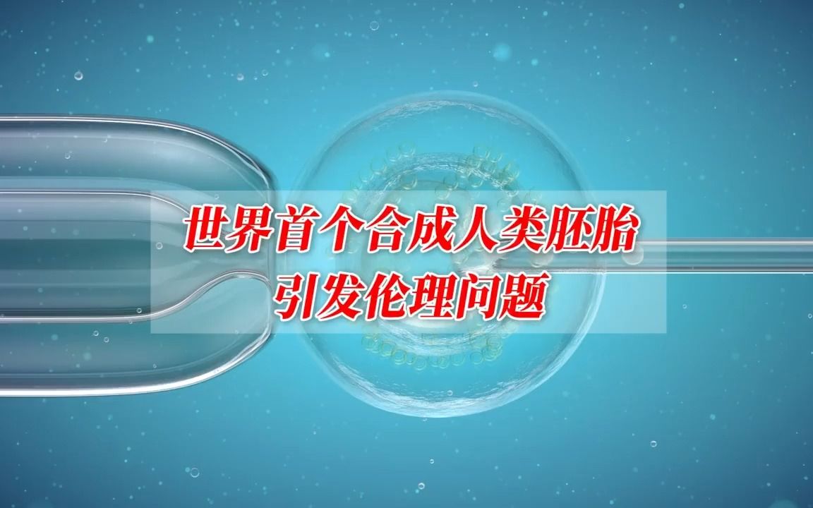 世界首个合成人类胚胎引发伦理问题