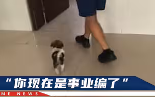 四川消防员“收编”小奶狗，网友起名“灭火器”，一颠一颠太可爱