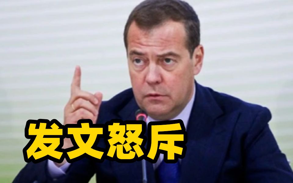 “混蛋！人渣！让他们消失！”梅德韦杰夫发文怒斥反对者