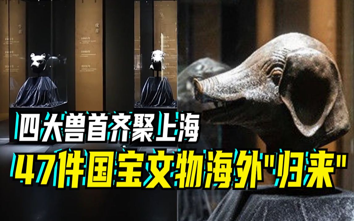 四大兽首齐聚上海，47件国宝文物海外“归来”