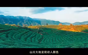 新华视点｜绿水青山的回响（上）