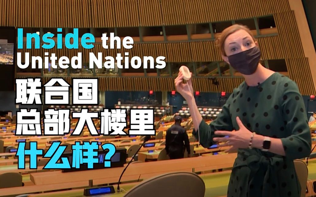 联合国总部大楼里长什么样？