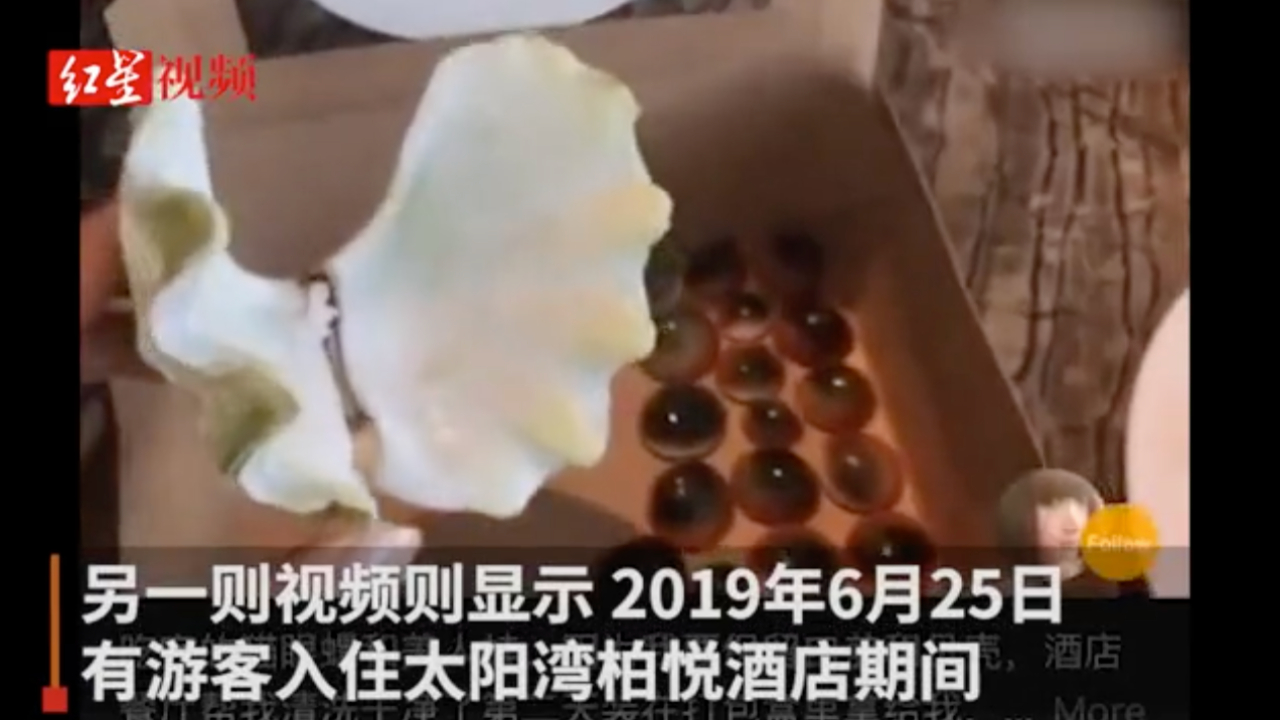 陈学冬举报三亚太阳湾非法捕捞国家保护动物 警方：正全面摸排