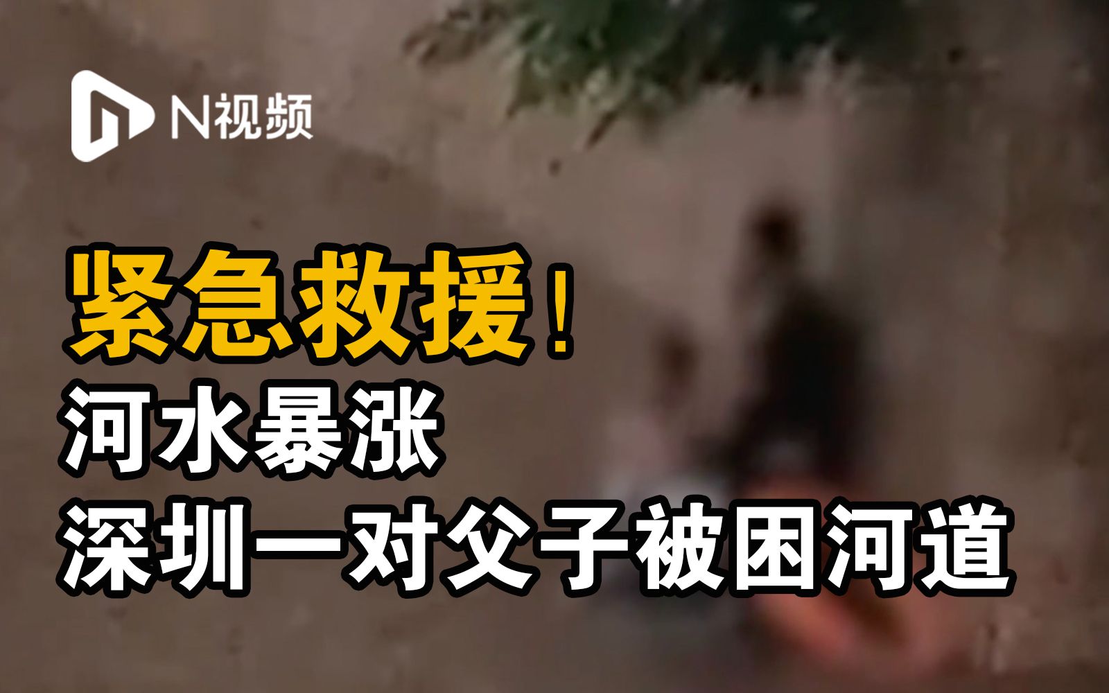 河水暴涨！深圳一对父子被困河道，救援人员惊险救援