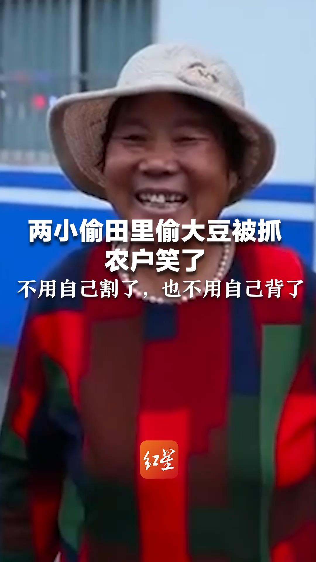 两小偷田里偷大豆被抓农户笑了 ：不用自己割了，也不用自己背了
