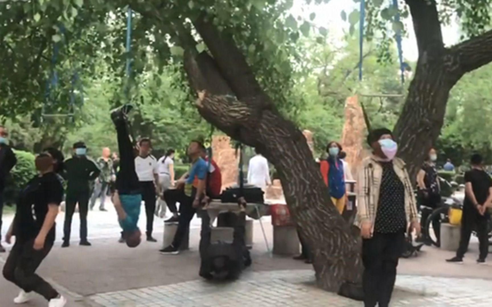 画风奇特！沈阳大爷大妈把头挂树上锻炼 网友直呼吓人