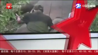 印度18头野象  被闪电击中死亡