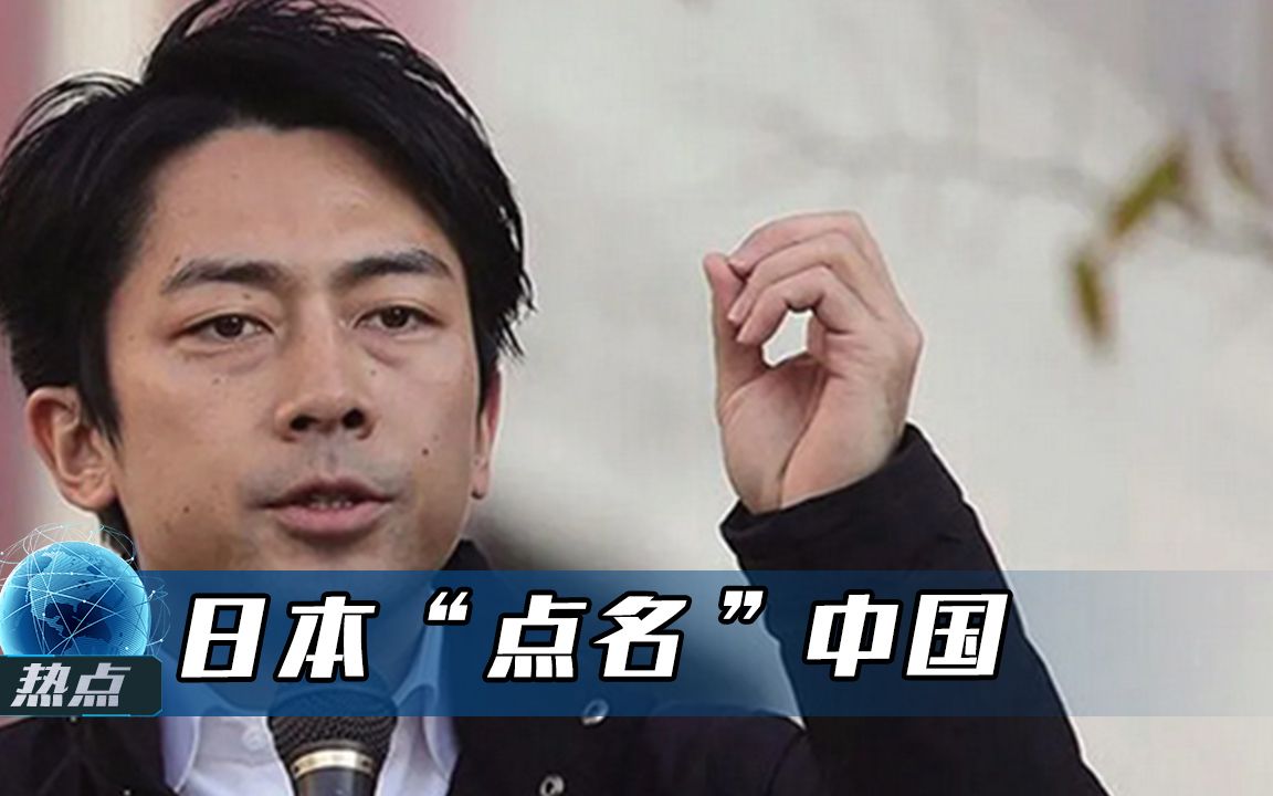 贼喊捉贼！日本环境大臣点名中国，赵立坚当即回击：先管好你自己