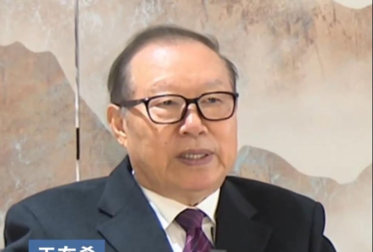 王在希：被民进党荼毒的台湾青年 还是要拉一把