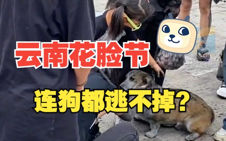 花脸节路过的狗都得被抹两下 怎么云南天天过节？