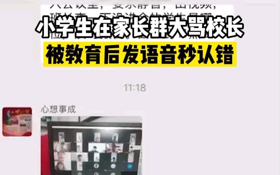 小学生在家长群大骂校长傻X，被教育后发语音秒认错