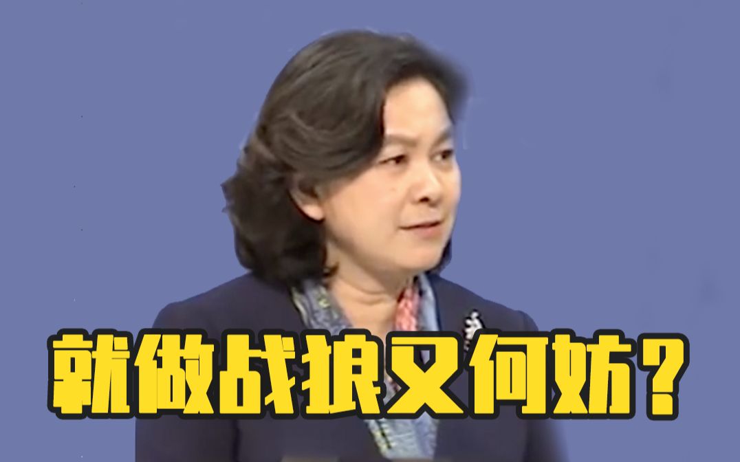 华春莹说就做战狼又何妨
