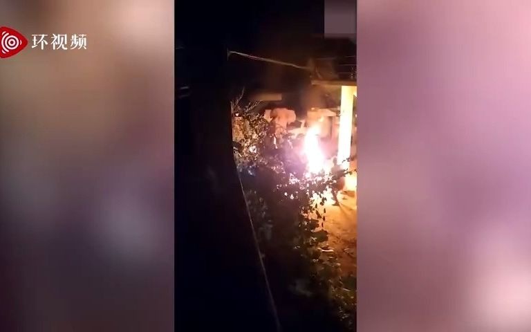 大象被活活烧死！印度村民为驱赶大象将点燃的轮胎扔其头上