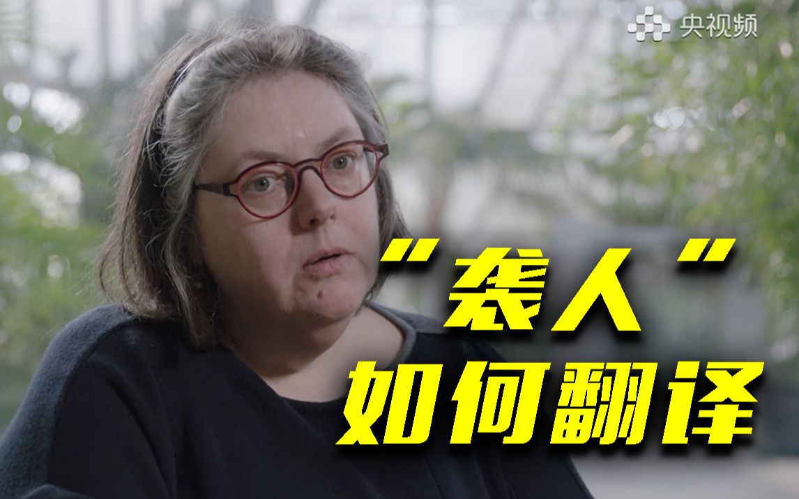 《红楼梦》中的“袭人”在荷兰语中如何翻译？