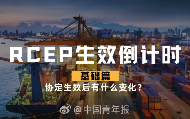 RCEP成员国表示将推动协定于明年1月1日生效！
