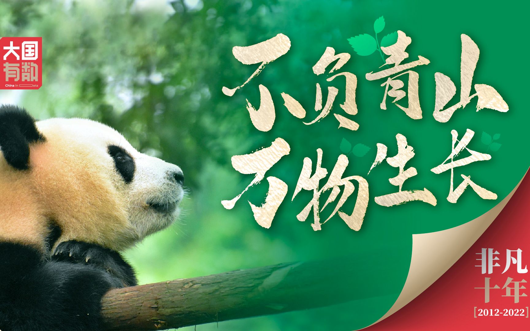 微视频《非凡十年丨不负青山 万物生长》