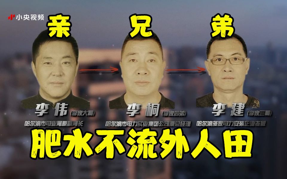 “电力这块你有啥事 黑龙江我全都能说了算”