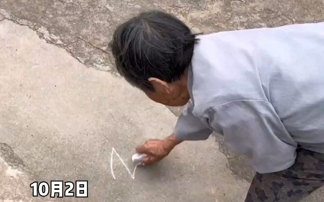 姥姥用石头给外孙画大鹅 外孙：小时候就是这么哄我的 是你的童年吗？