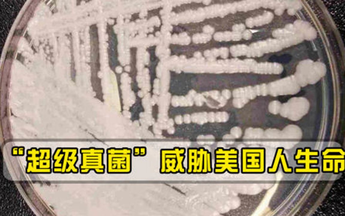 新冠疫情肆虐全美，超级真菌威胁美国人生命，各国要提高警惕