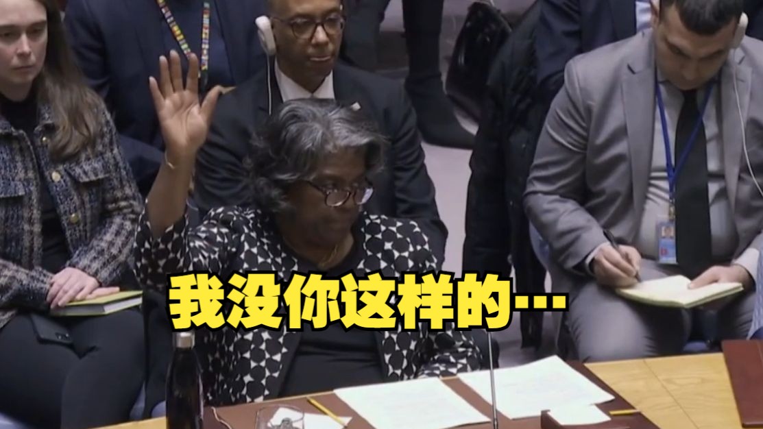 美国第四次否决加沙停火决议草案，网友称作为美国人感到羞耻