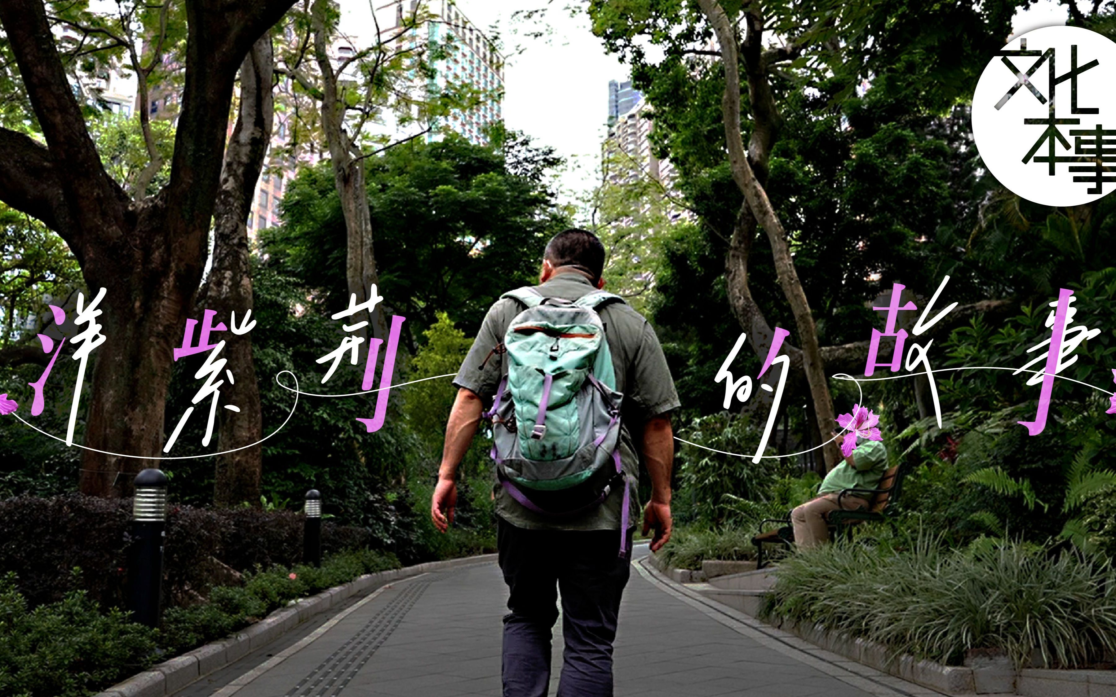 香港市花“洋紫荆”奇迹般的诞生故事
