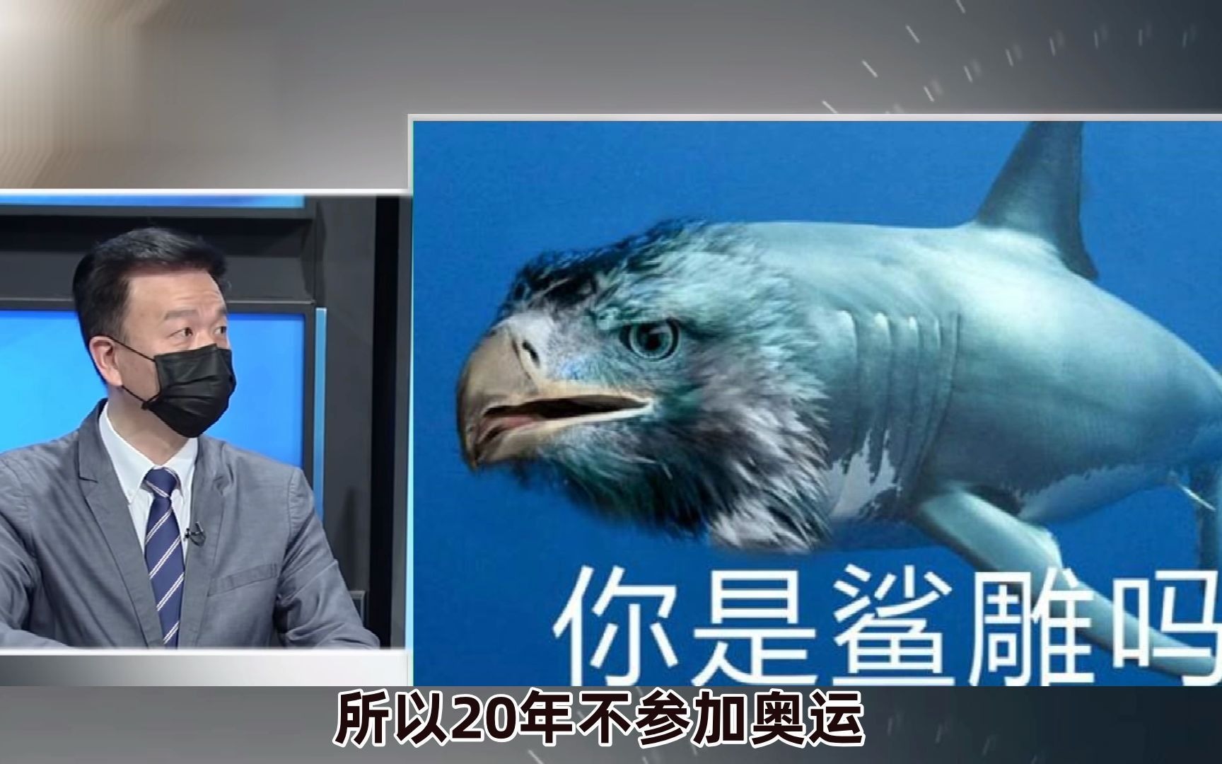 大陆不爽就退出奥运？人一绿脑就残！“土房哥”真没得救了！
