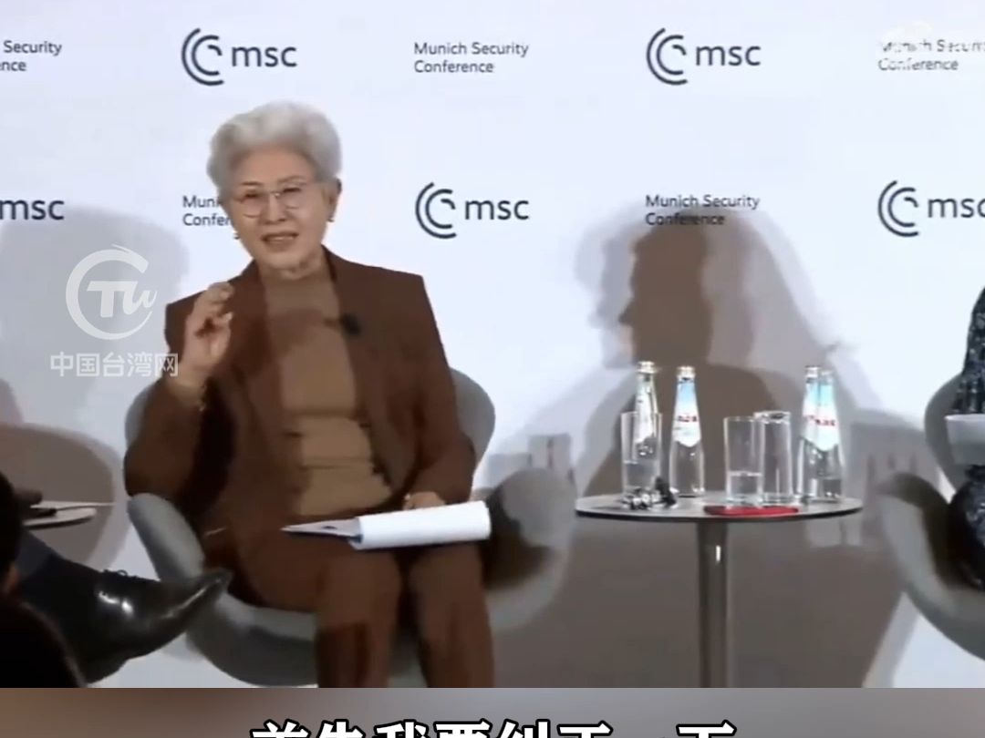 慕尼黑安全会议上，傅莹说完这句话，社民党联合主席的话筒掉了