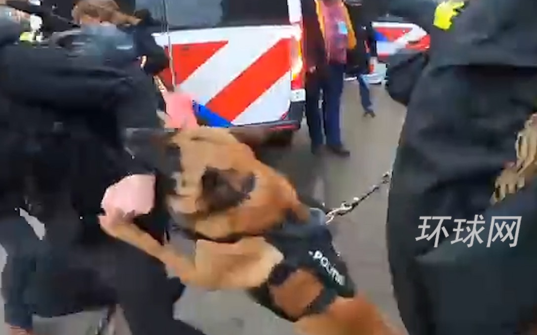 荷兰警察放狗撕咬反防疫抗议者 ，现场一片混乱
