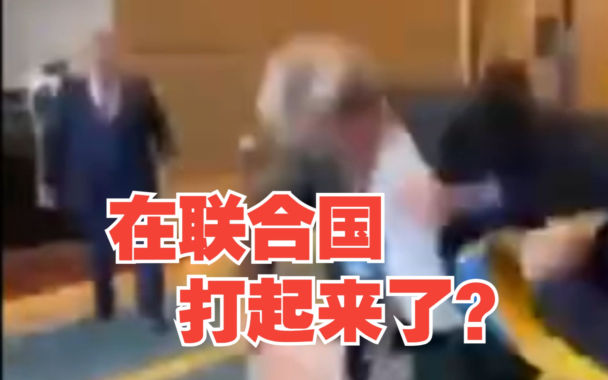 乌克兰代表举自家国旗挑衅暴揍俄代表