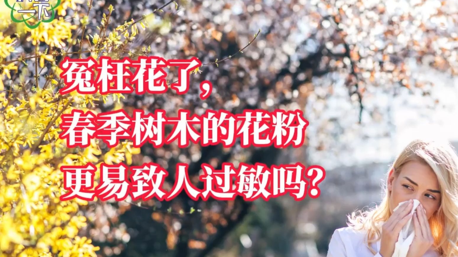 科普一下 | 冤枉花了，春季树木的花粉更易致人过敏吗？