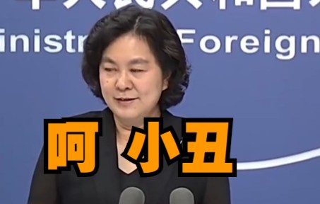 华春莹：佩洛西窜访台湾是丑陋的真人秀