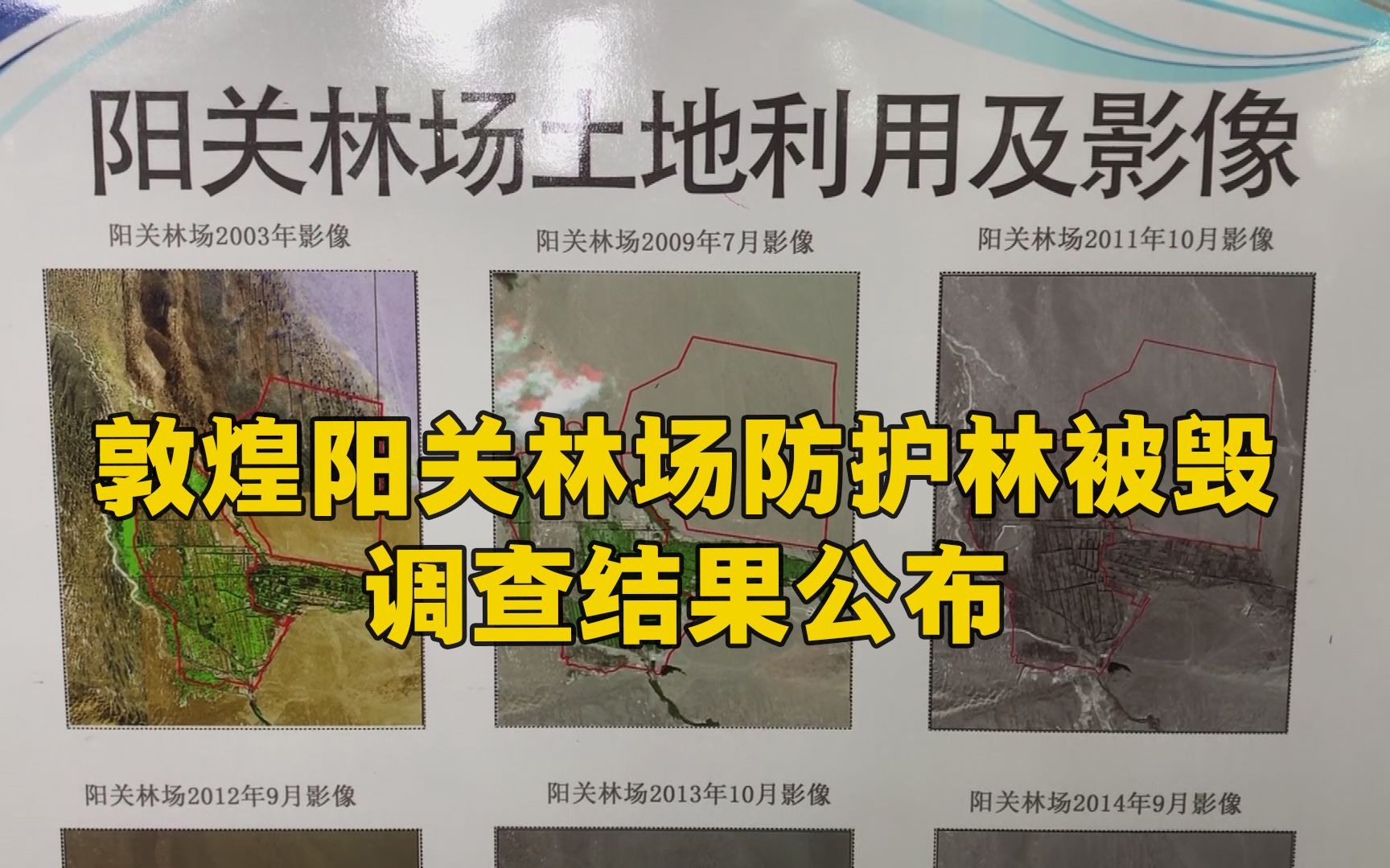 敦煌阳关林场防护林被毁调查结果公布！
