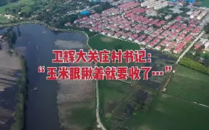 凤凰探访卫辉市大关庄村 书记：玉米眼瞅着就要收了...
