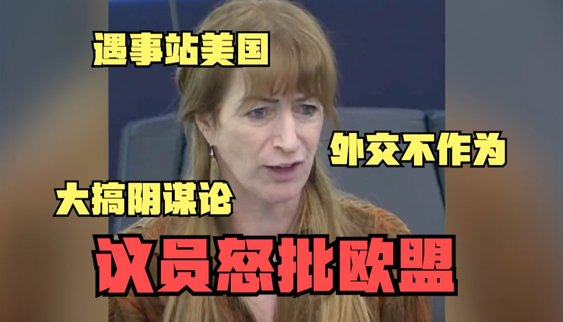 言之有理｜欧洲议会议员怒批欧盟：遇事站美国 大搞阴谋论 外交不作为