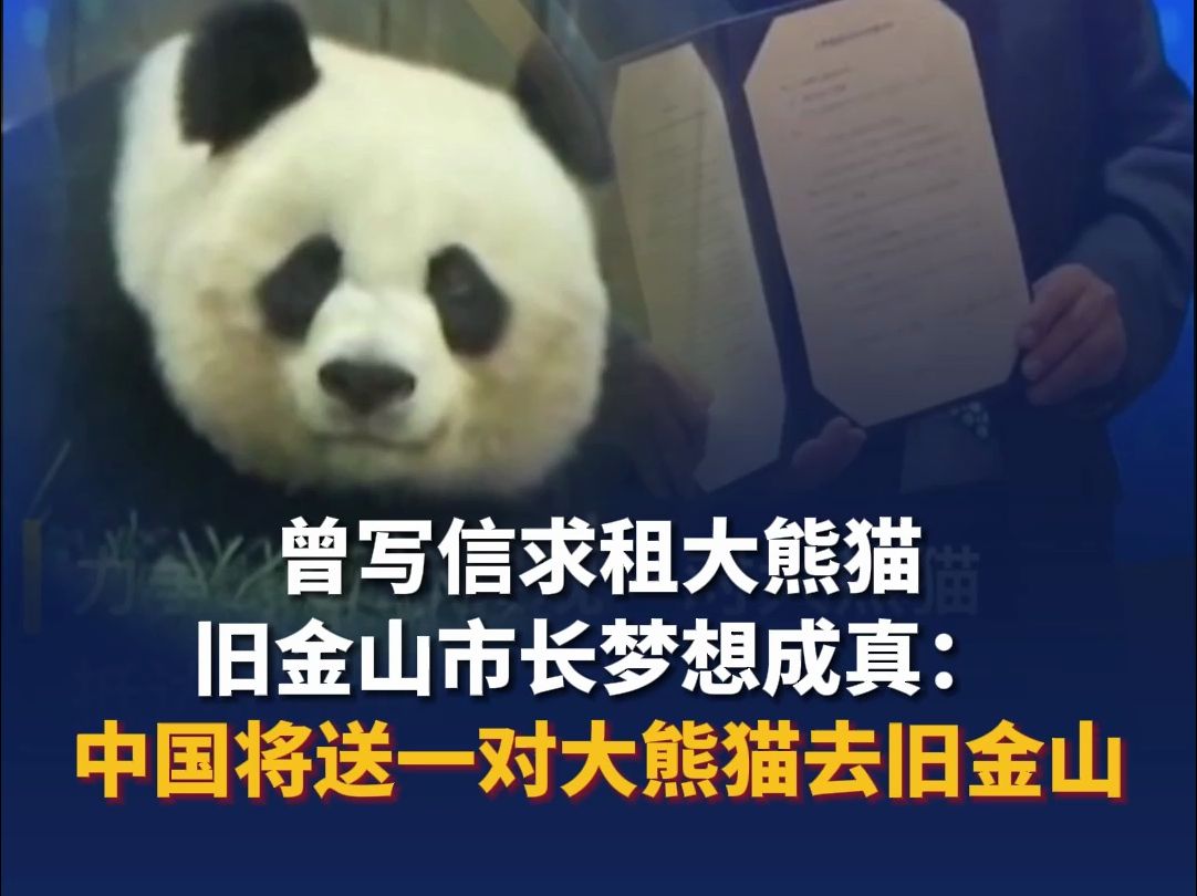 曾写信求租大熊猫旧金山市长梦想成真：迫不及待迎接这对大熊猫