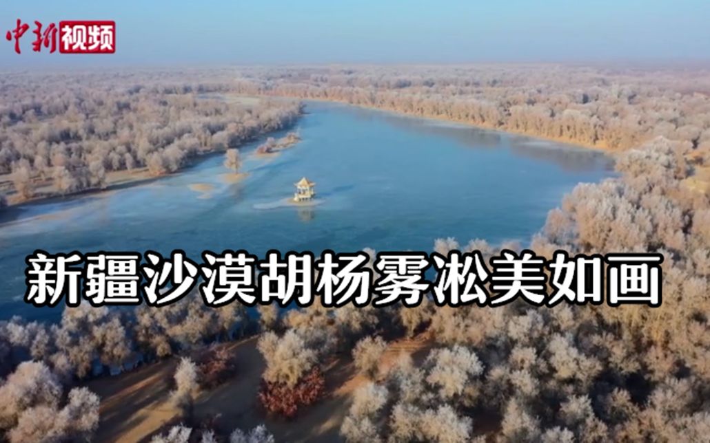 美如画！航拍新疆沙漠胡杨雾凇
