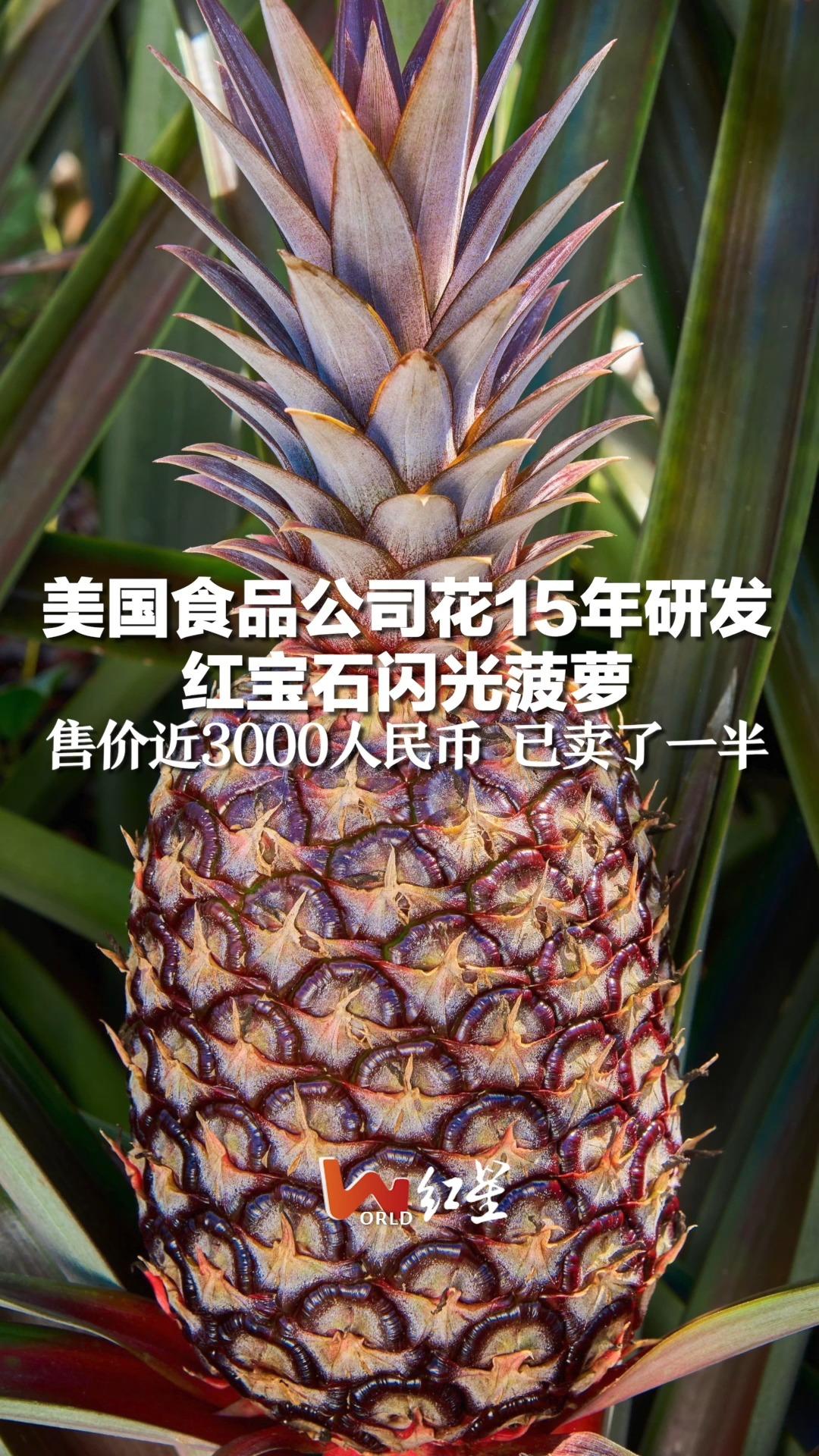 美国食品公司花15年研发红宝石闪光菠萝，售价近3000人民币 已卖了一半