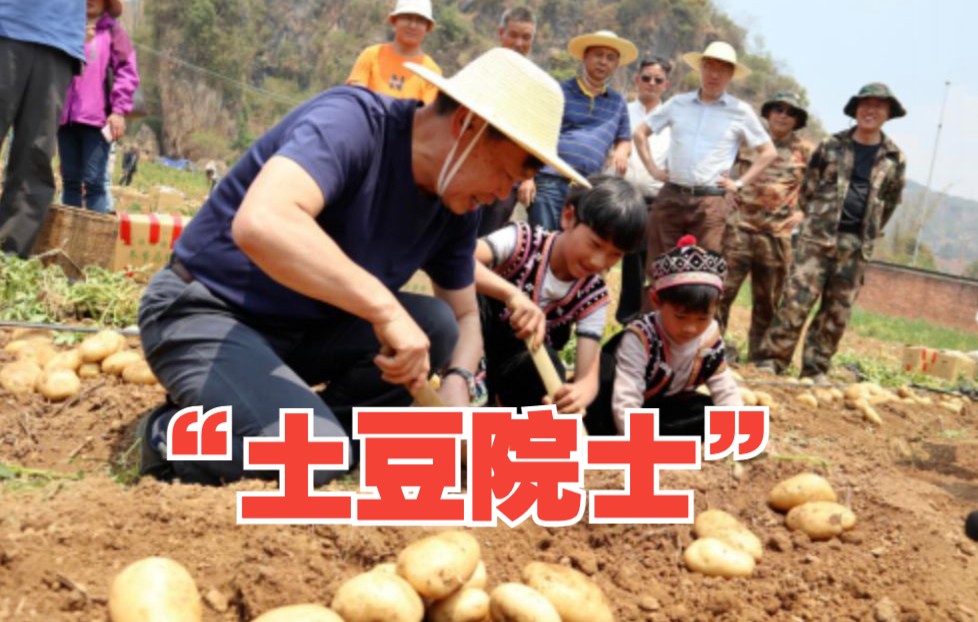 水稻也可以在山上种了！谢谢“土豆院士”