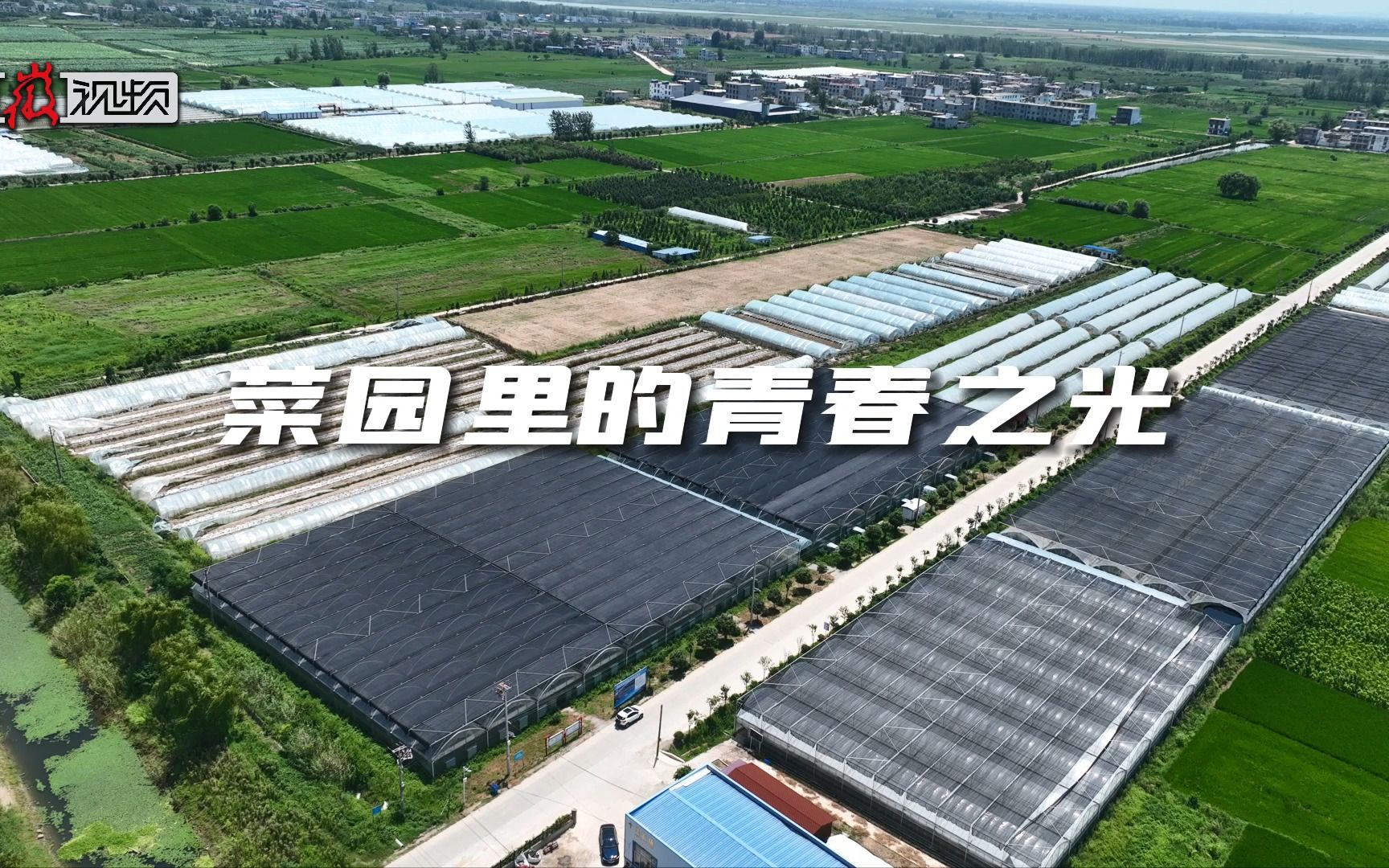 菜园里的青春之光