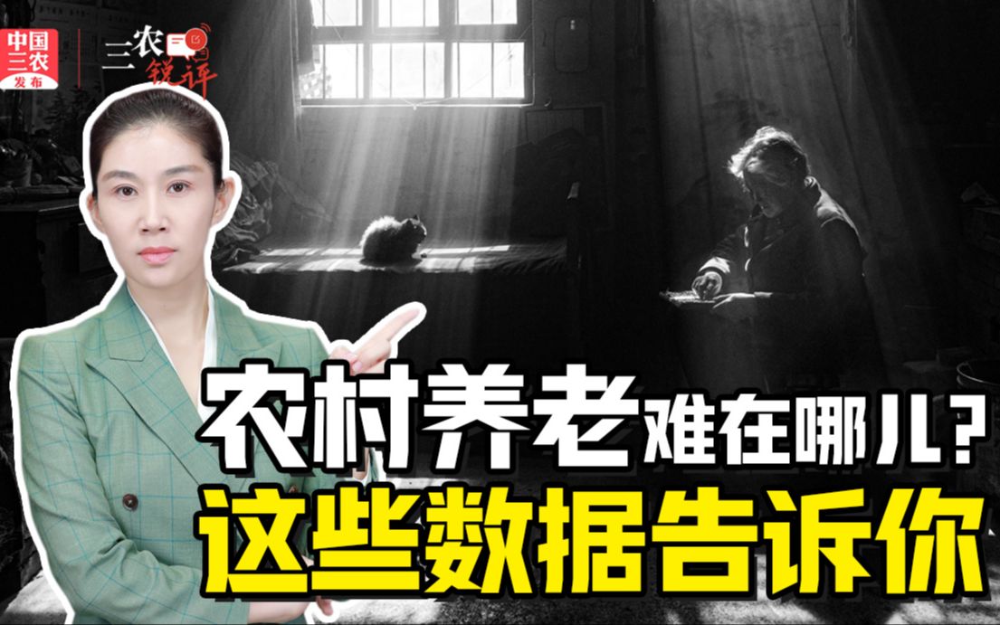 三农锐评丨农村养老难在哪儿？这些数据告诉你