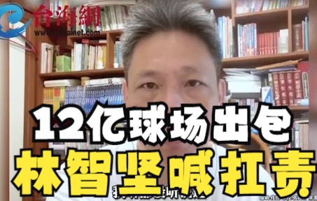 12亿球场出包林智坚喊扛责 谢寒冰：嘴炮一堆丢人现眼