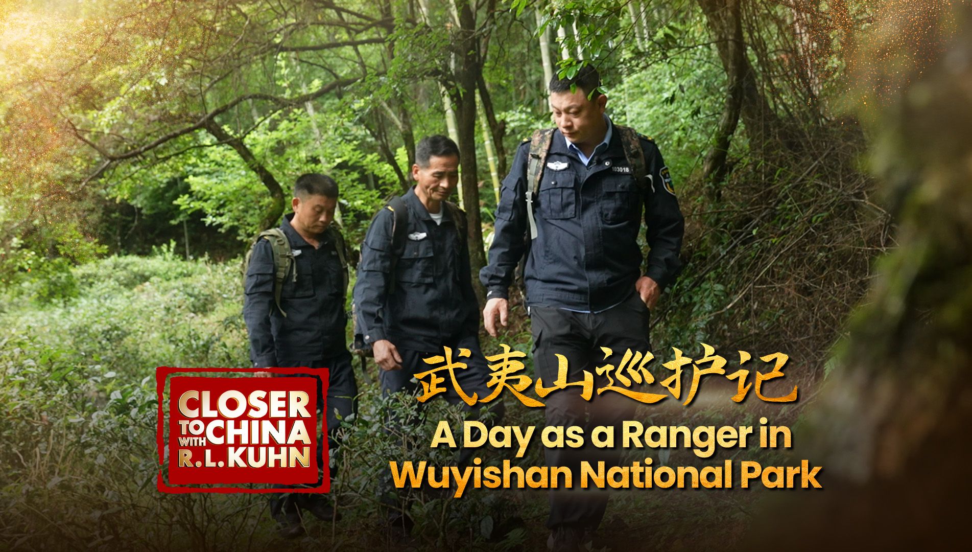 中国近距离｜武夷山巡护记