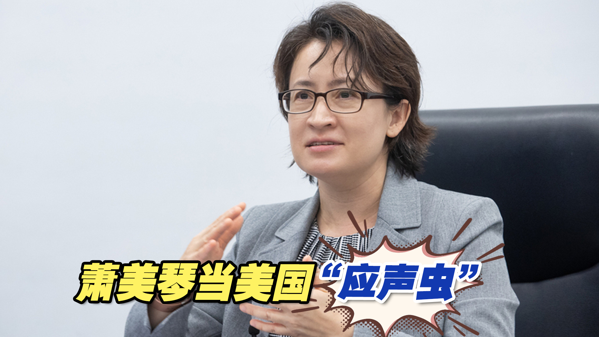 放水“莱猪” ！萧美琴当美国“应声虫”，让台湾利益全失守