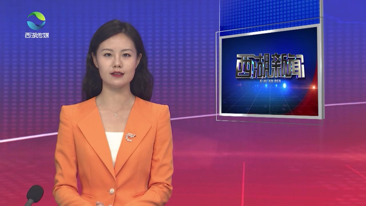 齐心协力 真抓实干 克难攻坚 合力打造更高质量更高水平的平安西湖
